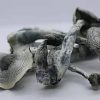 Buy hallucinogenic mushrooms